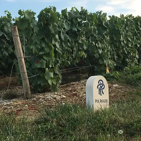 Luxurious Townhouse 10 Mins Walk To Centre Vila *