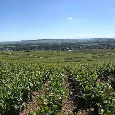 Luxurious Townhouse 10 Mins Walk To Centre *