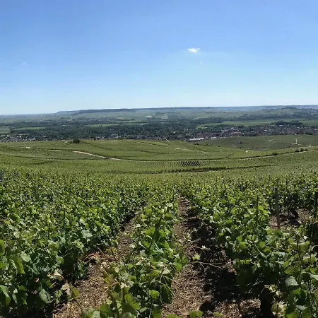 Luxurious Townhouse 10 Mins Walk To Centre * Épernay