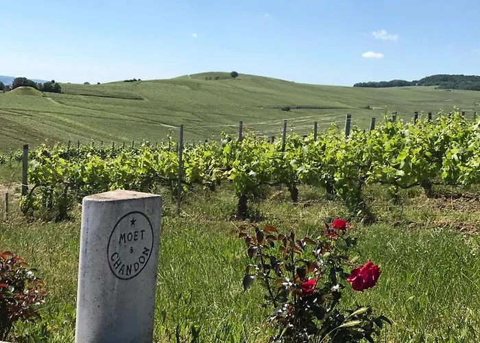 Luxurious Townhouse 10 Mins Walk To Centre