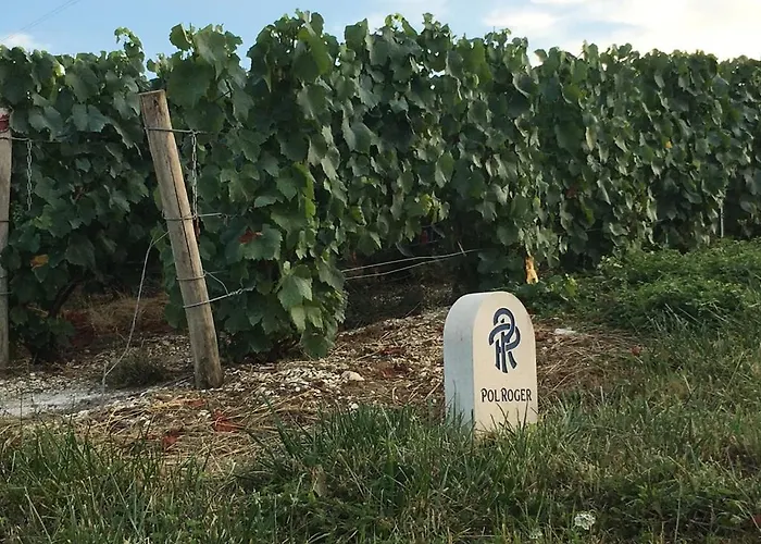 Luxurious Townhouse 10 Mins Walk To Centre Villa *