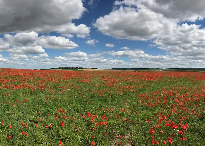 Villa Luxurious Townhouse 10 Mins Walk To Centre Épernay