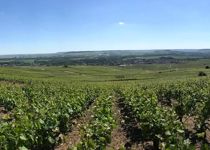 Luxurious Townhouse 10 Mins Walk To Centre *