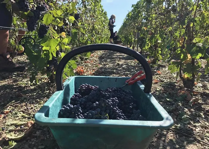 Villa Luxurious Townhouse 10 Mins Walk To Centre *