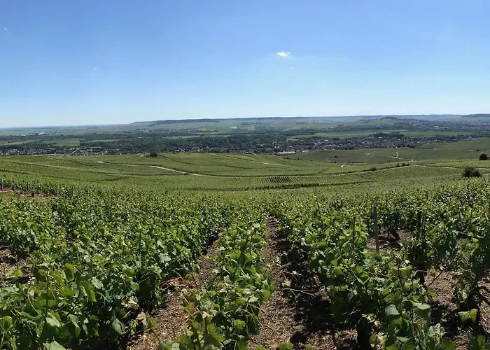 Luxurious Townhouse 10 Mins Walk To Centre * Épernay